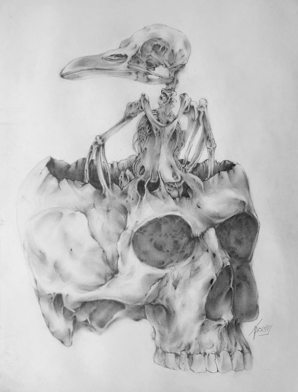 A Crow In Your Head Korbak MMXX
