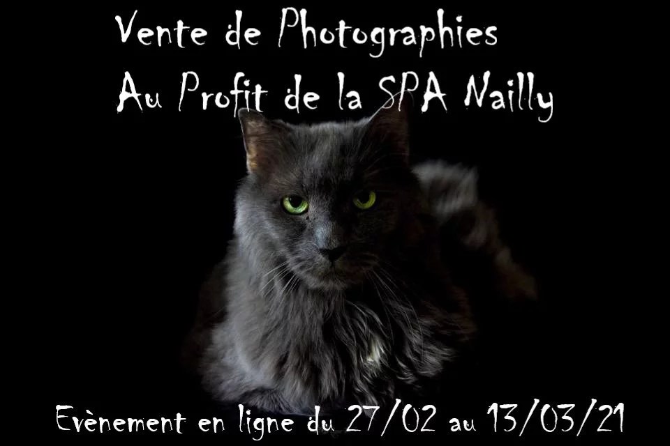 Ventes de photographies au profit de la