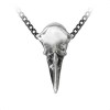 Pendentif Crâne Corbeau en Etain avec Chaîne