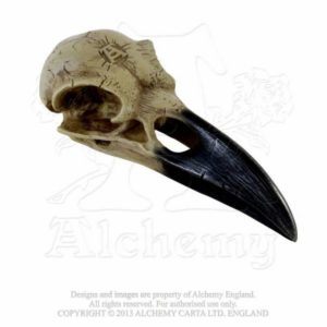 Crâne Corbeau en Résine