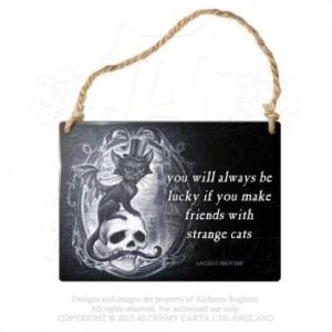 Plaque Métal Strange Cats on Skull