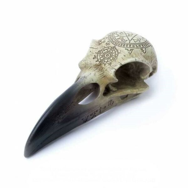 crâne corbeau omega
